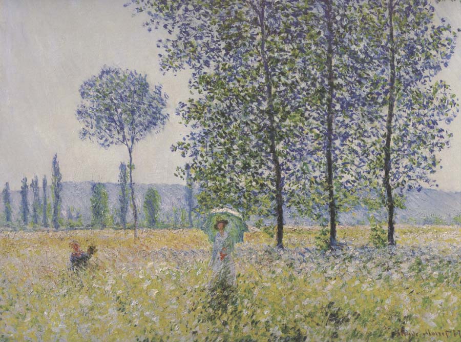 Fields in Spring